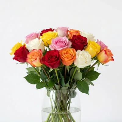 Roses